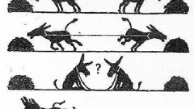Image 91